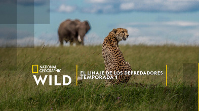 Imagen de El linaje de los depredadores  - 2