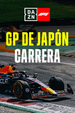 GP de Japón (Suzuka): GP de Japón: Carrera