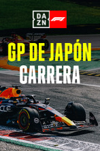 Imagen de GP de Japón (Suzuka): GP de Japón: Carrera - 1