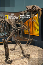 Imagen de Bestias del pasado  - 1