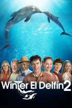 La gran aventura de Winter el delfín 2