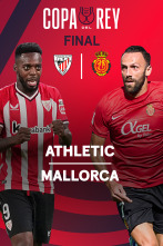 Imagen de Resumen Copa del Rey - 2