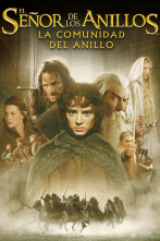 Imagen de El señor de los anillos: la comunidad del anillo - 1