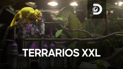 Terrarios XXL (T1)