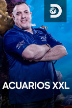 Acuarios XXL (T8)