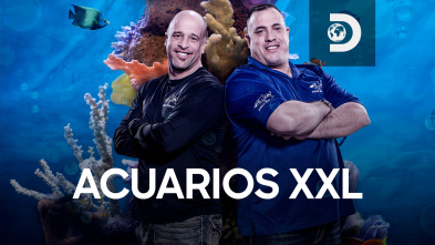 Imagen de Acuarios XXL  - 2