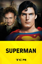 Imagen de Superman - 2
