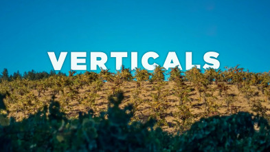 Imagen de Verticales  - 2
