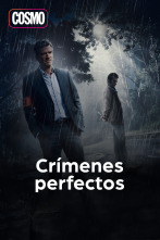 Crímenes perfectos (T1)