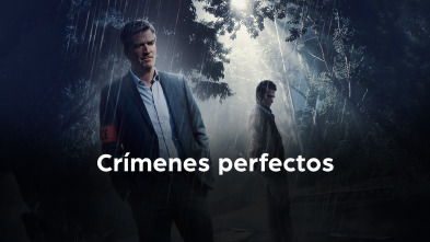 Crímenes perfectos (T1)