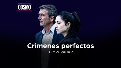 Crímenes perfectos (T2)
