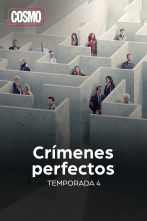 Crímenes Perfectos (T4)