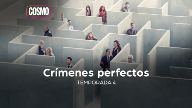 Crímenes Perfectos (T4)
