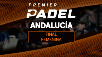 Final: Sánchez/Josemaría - Brea/González