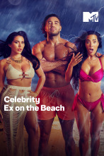 Imagen de La venganza de los ex celebrity (T3) - 1