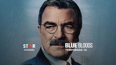 Blue Bloods (T14)