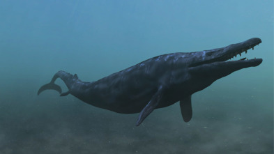 Imagen de Bestias del pasado: Megalodón - 1