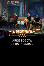 Lo + de las... (T7): Los perros de Arde Bogotá 11.04.24