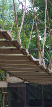 Imagen de Construcciones al... (T6): Casa del árbol de AR Mountain - 1