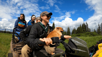 Alaska, última... (T11): Cadena de favores