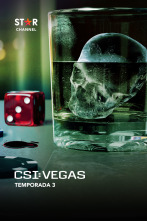 CSI: Vegas (T3): Ep.3 A vueltas con el Rat Pack
