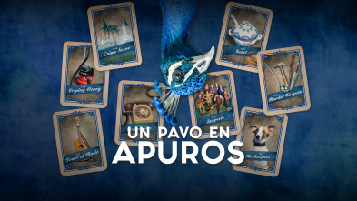 Un pavo en apuros