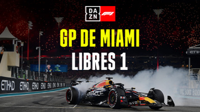 GP de Miami (Miami): GP de Miami: Libres 1