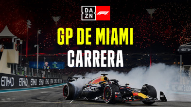 GP de Miami (Miami): GP de Miami: Carrera