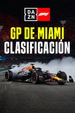 GP de Miami (Miami): GP de Miami: Post Clasificación
