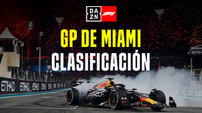 GP de Miami (Miami): GP de Miami: Post Clasificación
