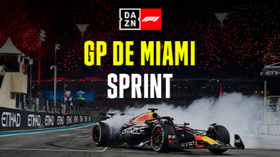 GP de Miami (Miami): GP de Miami: Carrera Sprint