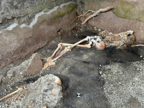 Imagen de Pompeya: nuevas...: Los cuerpos - 4