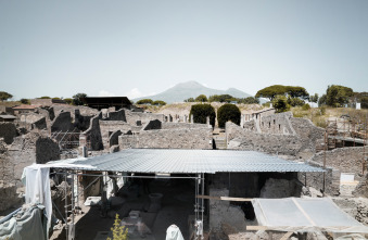 Imagen de Pompeya: nuevas...: La huida - 8