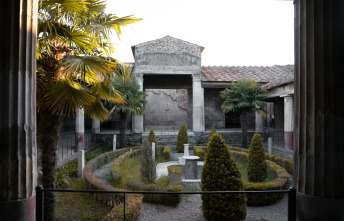Imagen de Pompeya: nuevas...: Las últimas horas - 3