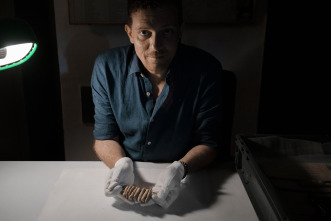 Imagen de Pompeya: nuevas...: Las últimas horas - 6