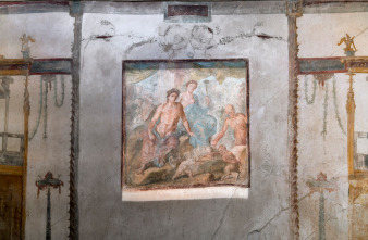 Imagen de Pompeya: nuevas...: Las últimas horas - 10