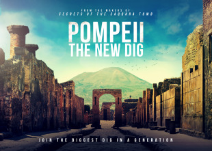 Imagen de Pompeya: nuevas...: Las últimas horas - 15