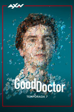 The Good Doctor (T7)