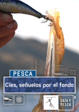 Imagen de Cíes, señuelos por el fondo - 1
