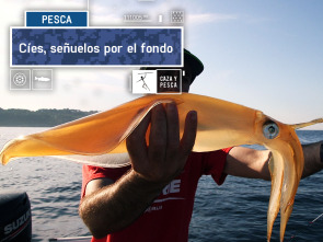 Imagen de Cíes, señuelos por el fondo - 2