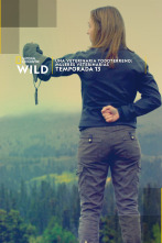 Imagen de Especial Una veterinaria todoterreno  - 1