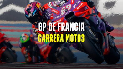 GP de Francia: Carrera Moto3