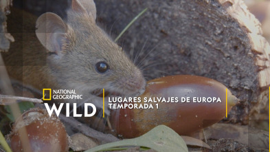 Imagen de Lugares salvajes de Europa  - 7