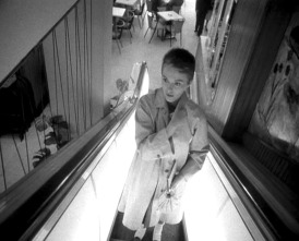 Imagen de Al final de la escapada - 9