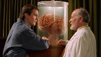 Imagen de The Primevals - 6