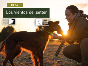 Imagen de Los vientos del Setter - 2
