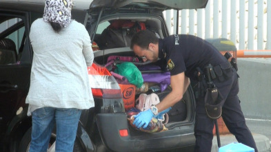 091: Alerta Policía (T1): Ep.8