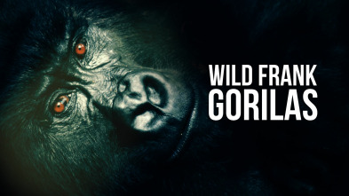 Wild Frank Gorilas 