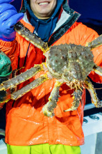 Imagen de Pesca radical (T18): Hermano en peligro - 2