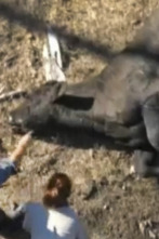 Expedición X (T2): Emboscada en Death Ranch